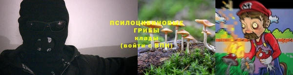 ECSTASY Каменка