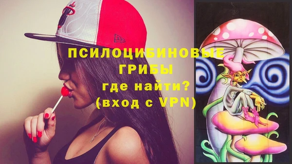 ГАЛЛЮЦИНОГЕННЫЕ ГРИБЫ Каменск-Шахтинский