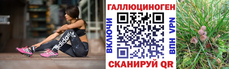 Галлюциногенные грибы Psilocybine cubensis  мега рабочий сайт  Долгопрудный 