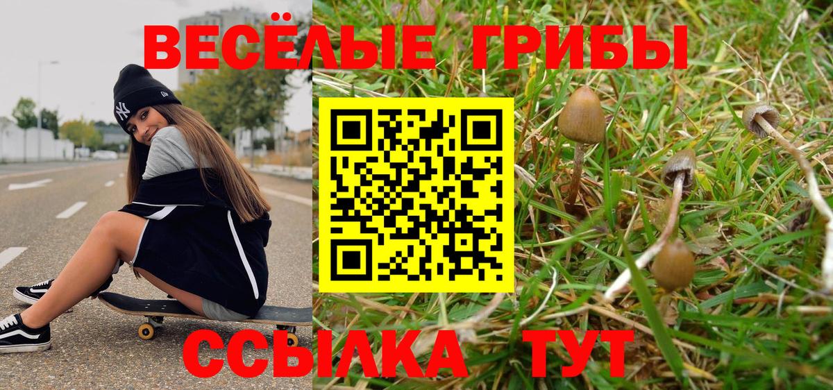 Псилоцибиновые грибы Magic Shrooms  Долгопрудный 